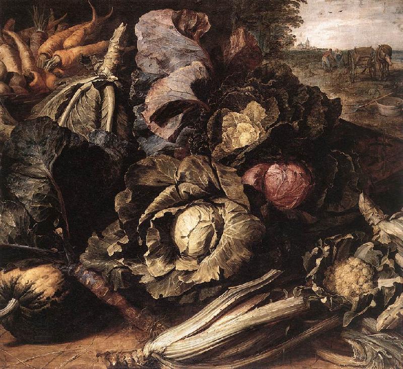 SNYDERS, Frans Vegetable Still-Life er oil painting picture
